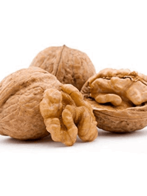 FreshNut1