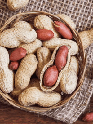FreshNut6