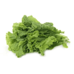leafygreen1