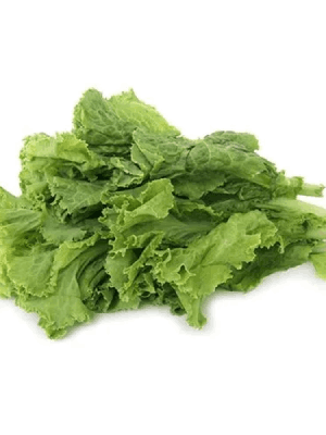leafygreen1