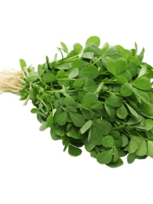 leafygreen4