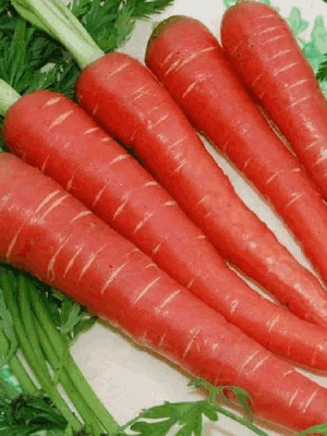 root2