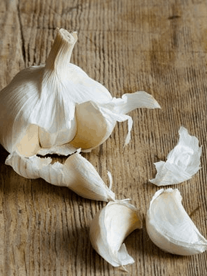 Vegetable5
