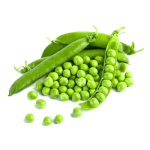 Vegetable6