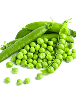 Vegetable6